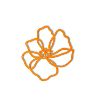 Tools2cook Tools2Cook pannen onderzetter Poppy Orange