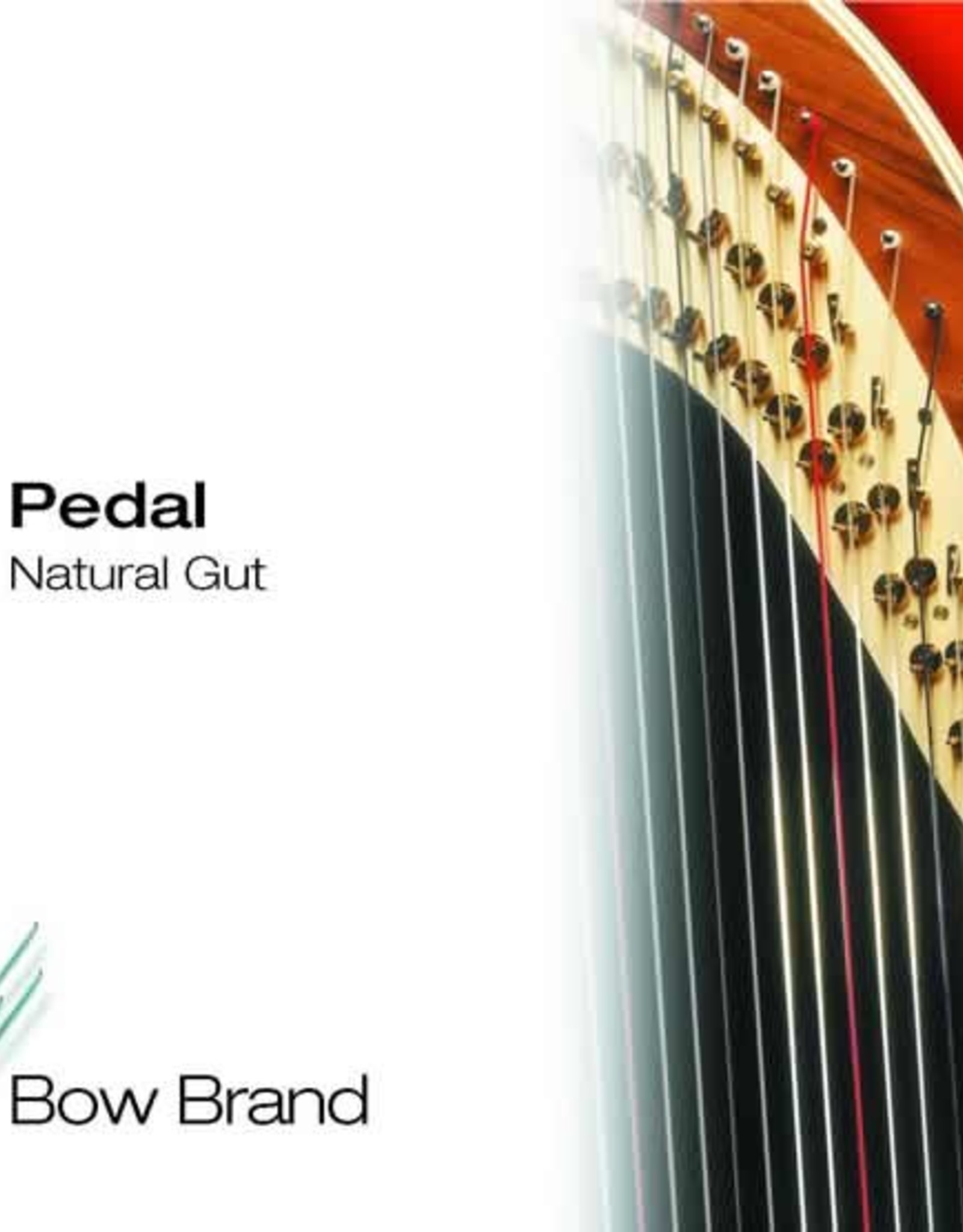 BOW BRAND  pedaal darm - pedal STD GUT 5/1 la