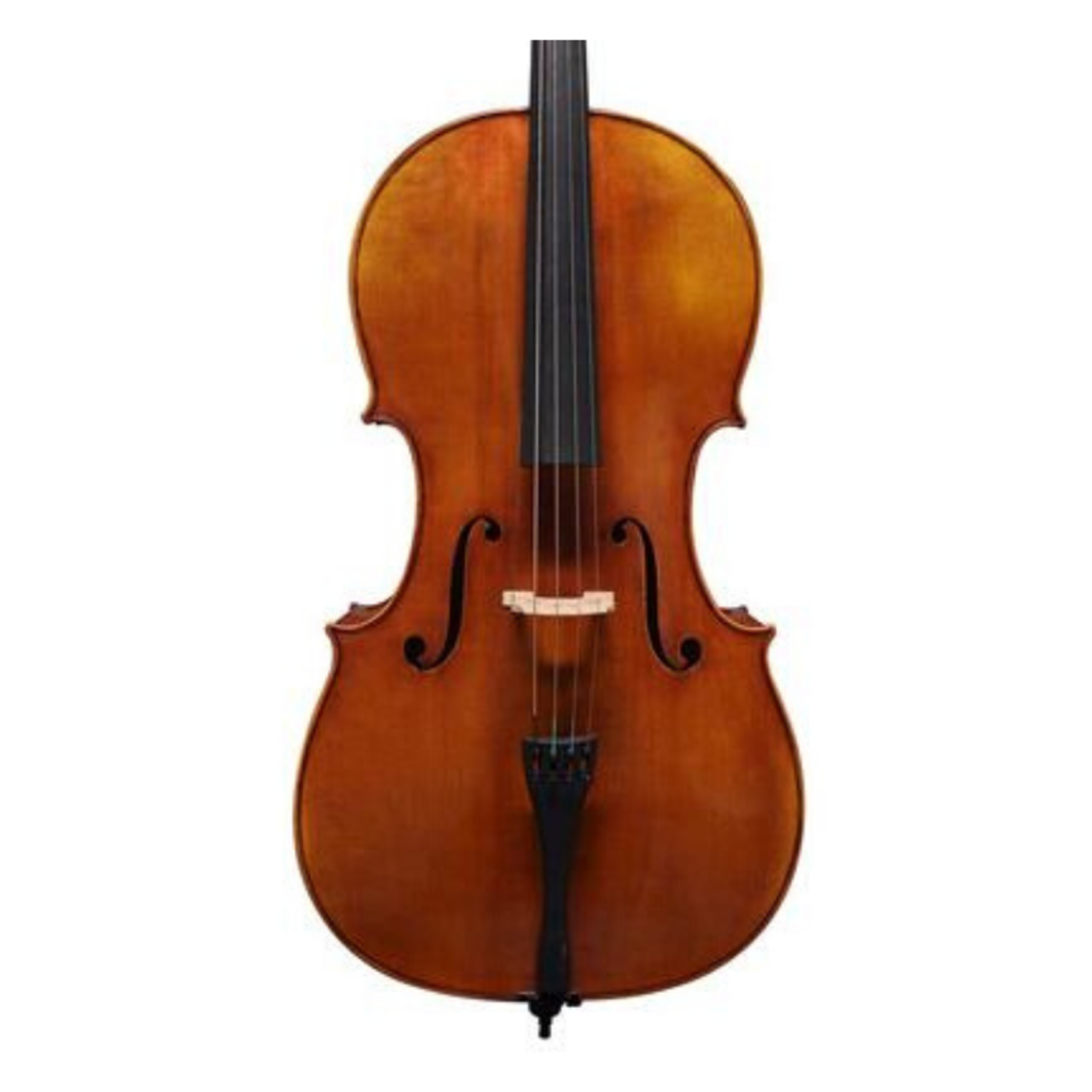 SCOTT CAO STUDENT Scott Cao Conservatory Violoncelle 4/4