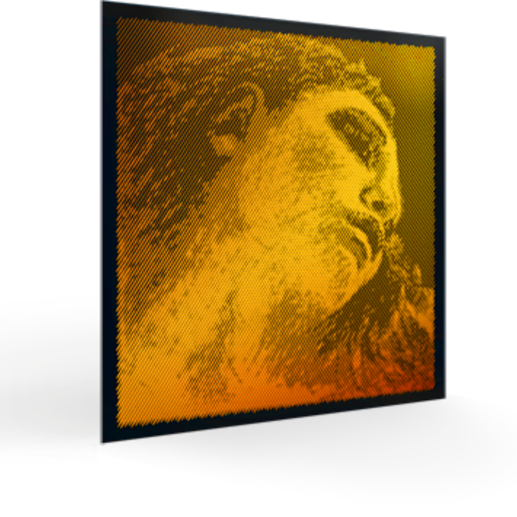 PIRASTRO Evah Pirazzi Gold viool set 4/4