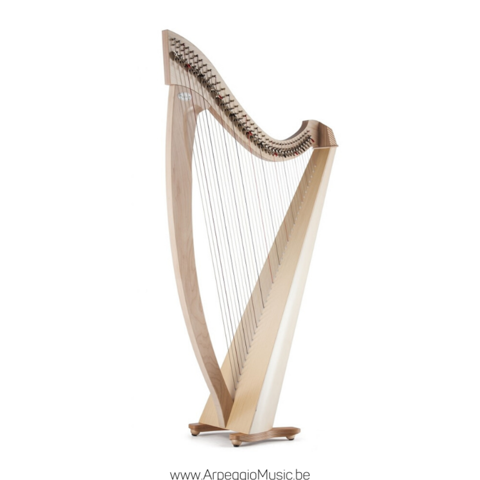 Salvi SALVI Titan harpe celtique Silkgut