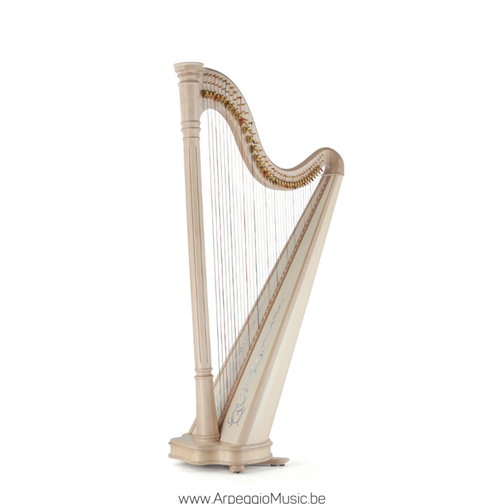 Salvi SALVI Ana harpe celtique