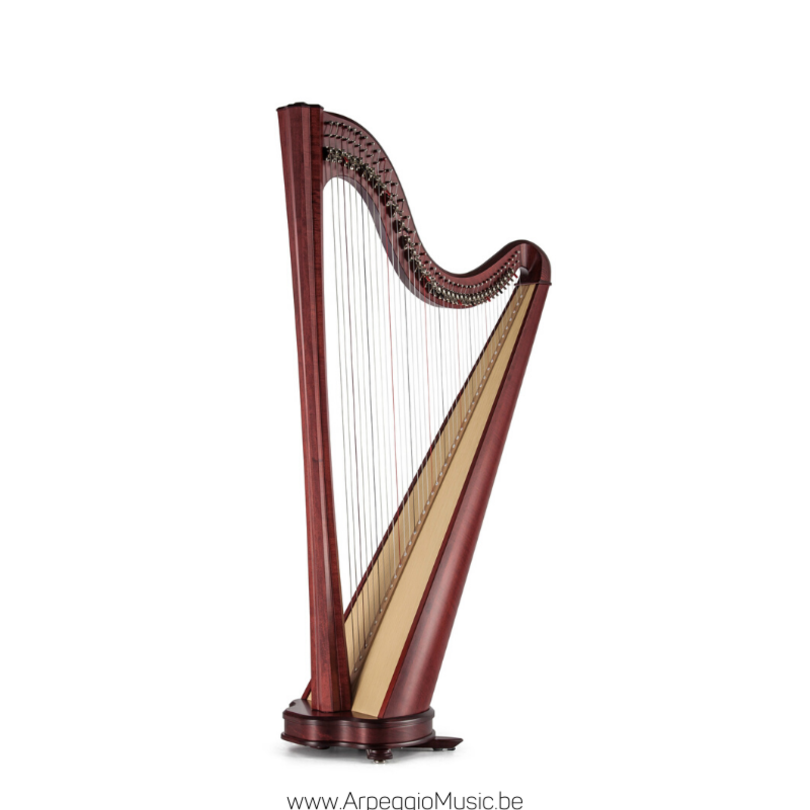 Salvi SALVI Hermes harpe celtique Silkgut