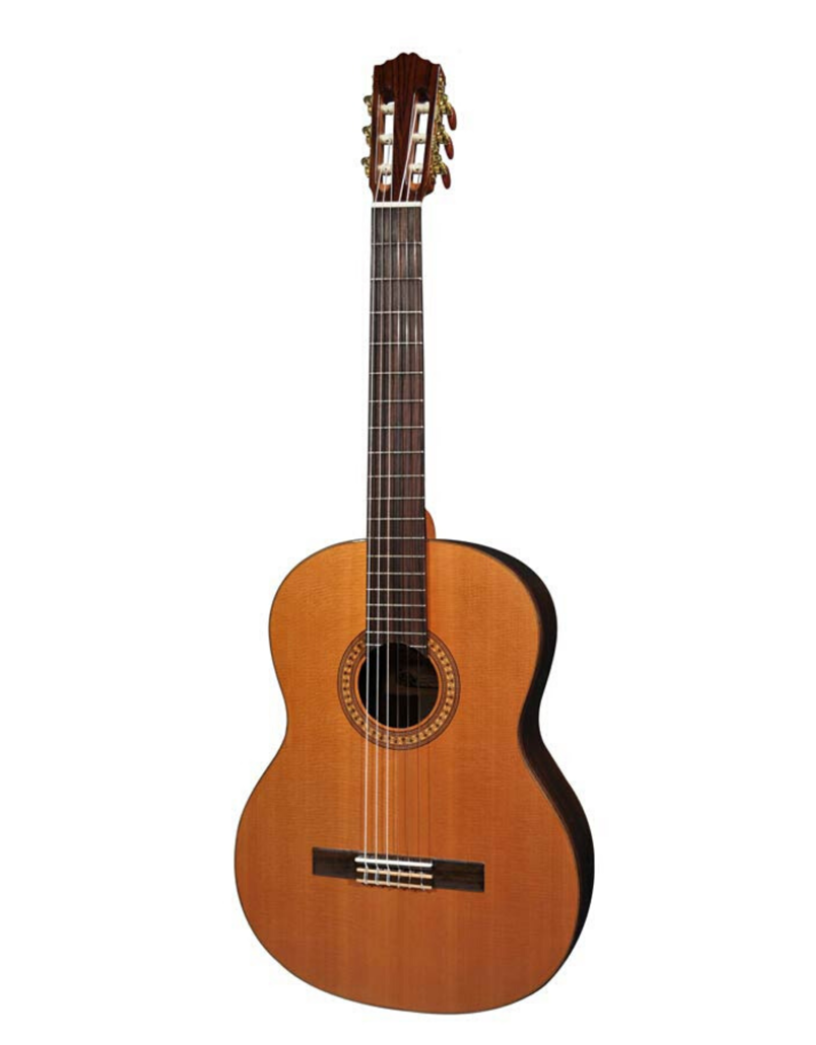 SALVADOR CORTEZ CC-50 Solid Top Artist Series Guitare Classique