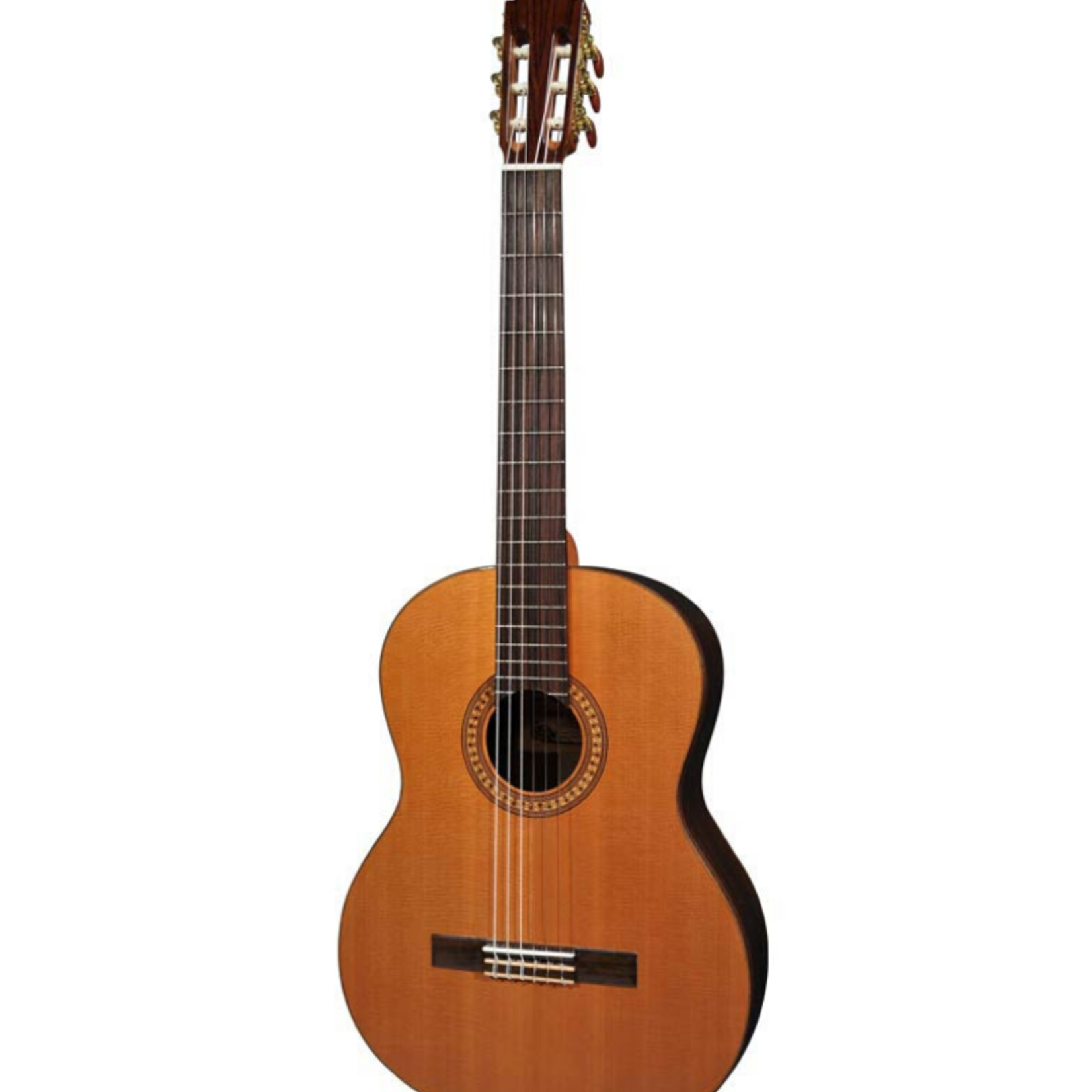 Salvador Cortez SALVADOR CORTEZ CC-50 Solid Top Artist Series Guitare Classique