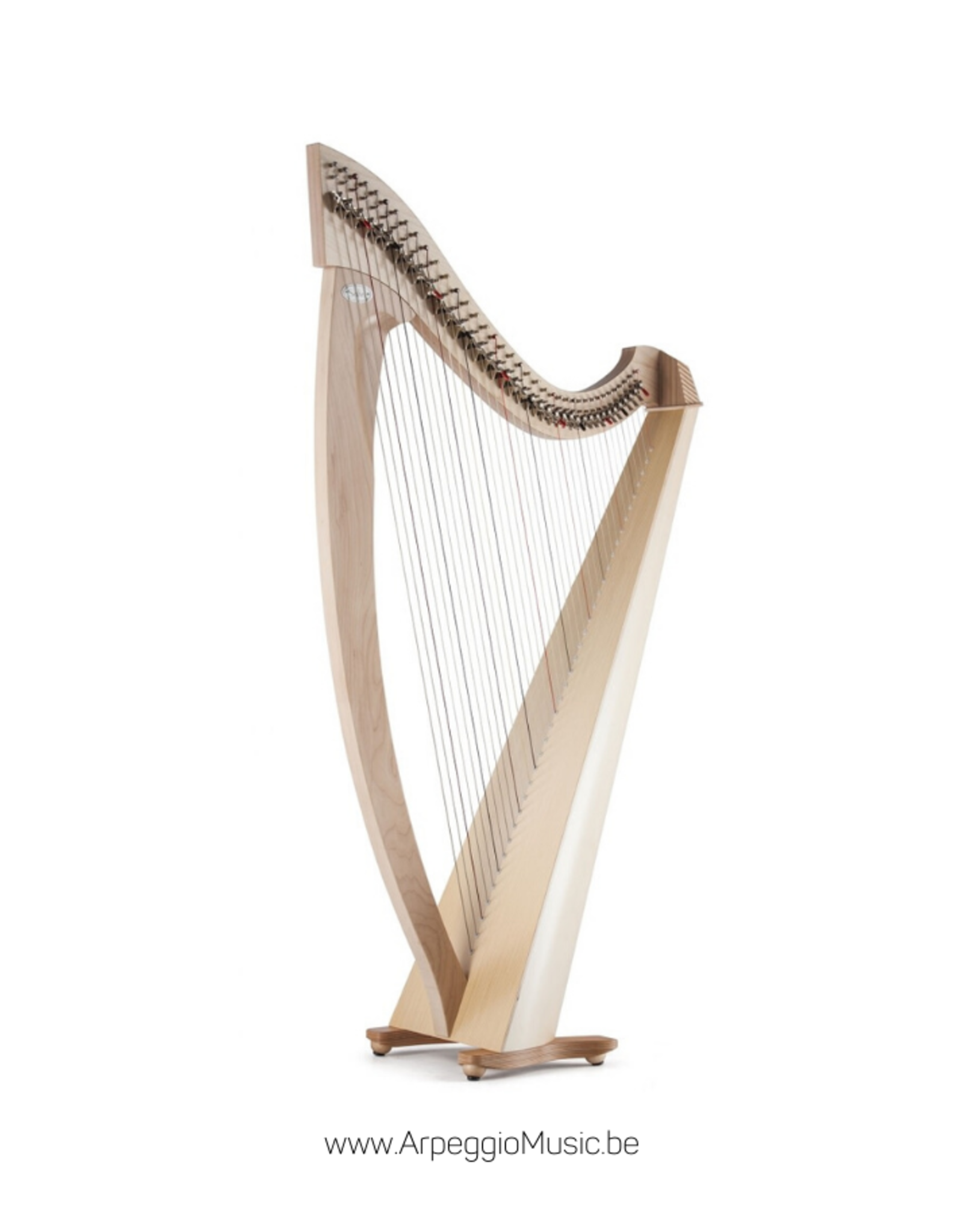 Salvi SALVI Titan  harpe celtique boyau