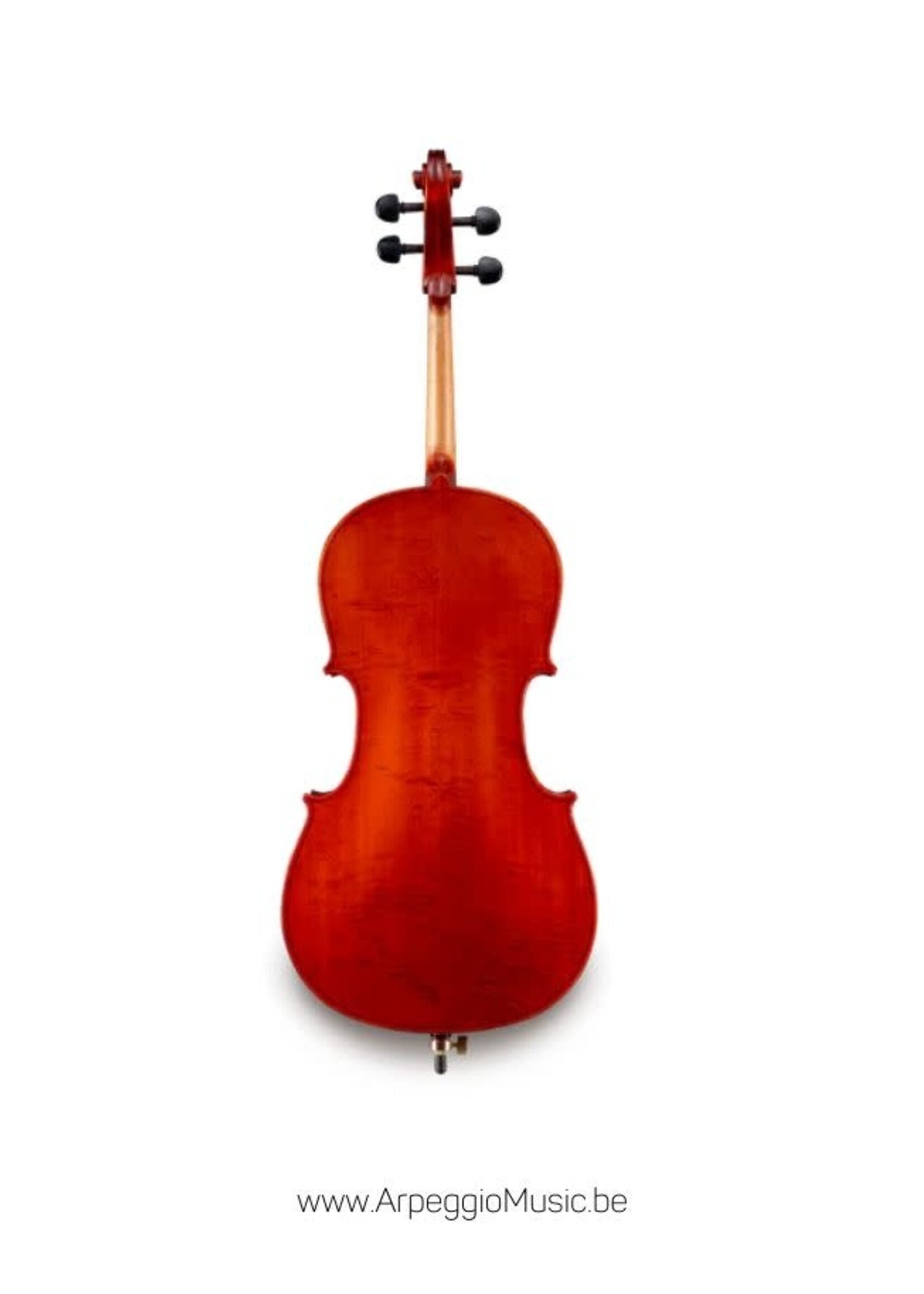 Eastman STARTER Eastman Cello 4/4