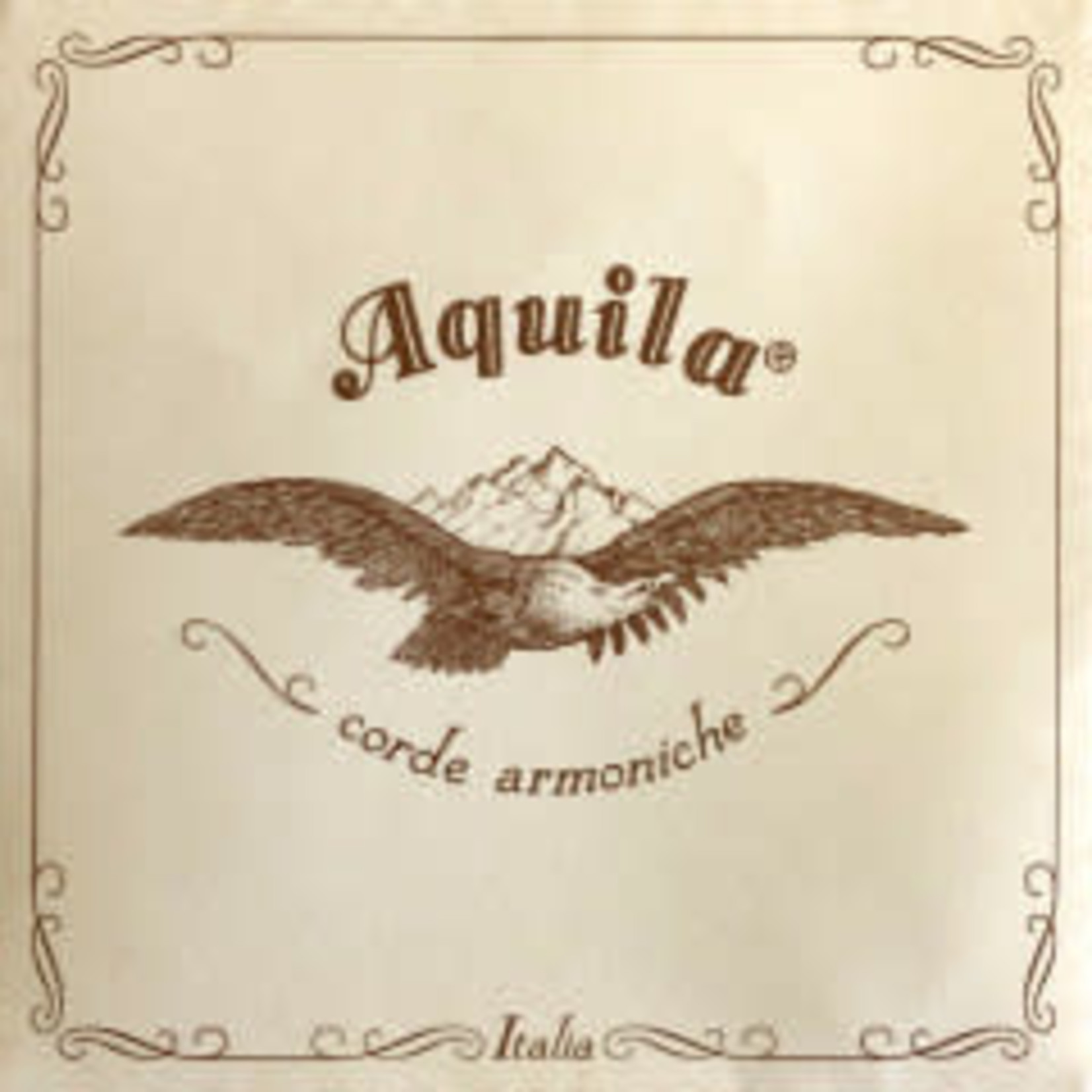 AQUILA boyau, corde de violon baroque re (-3), 4/4, HV112