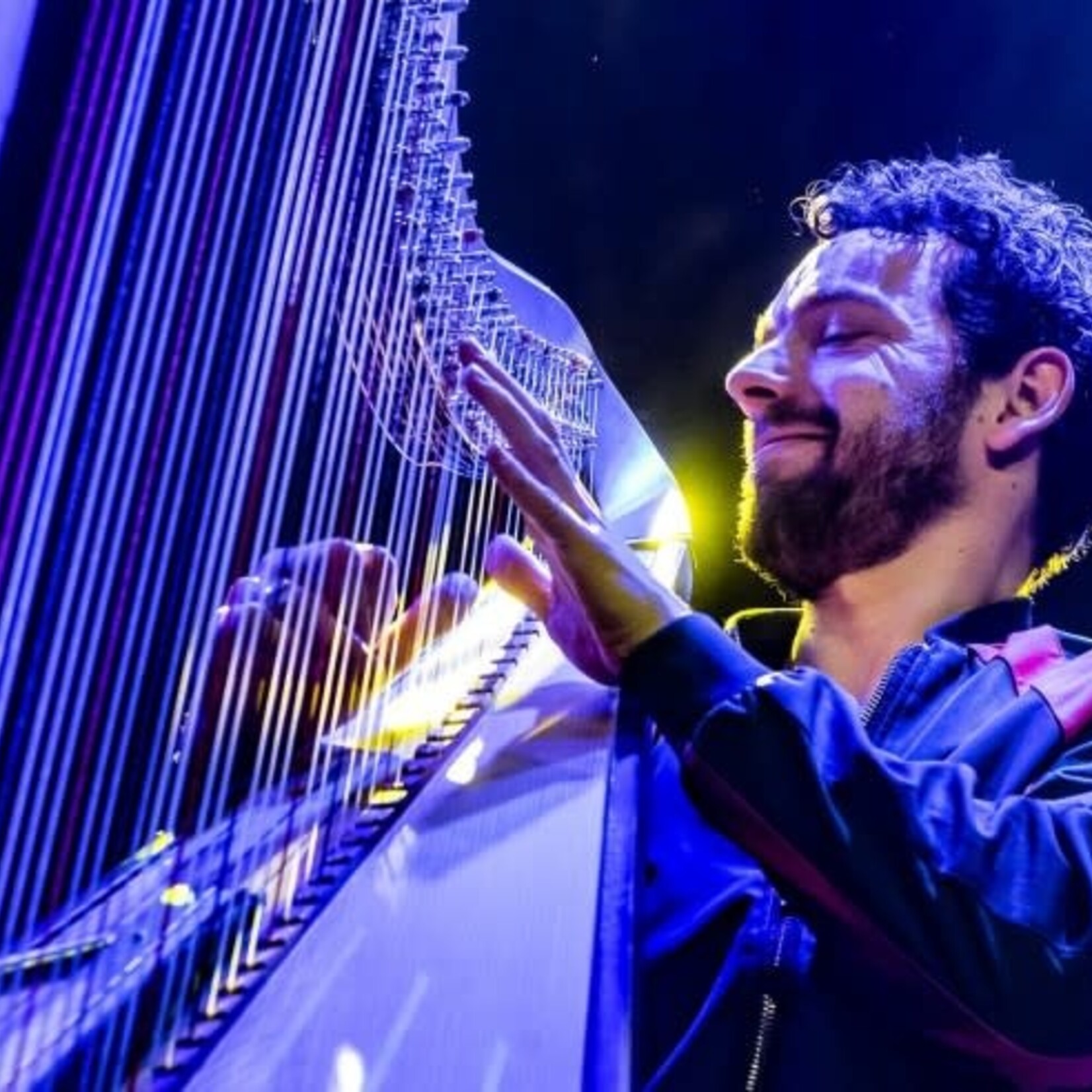 Arpeggio Harp Day: Avondconcert Remy van Kesteren