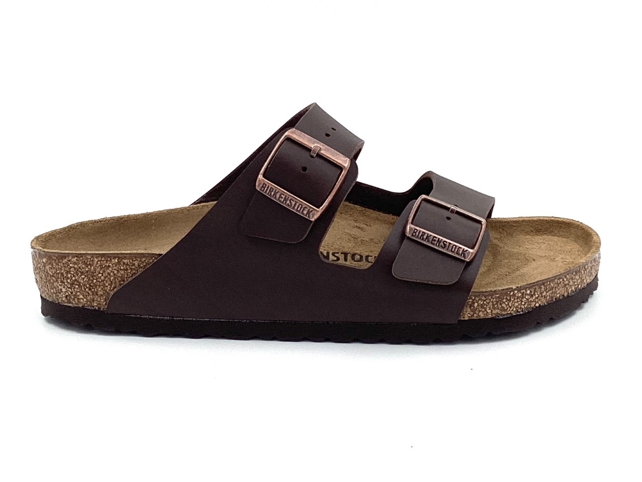 slipperarizona bruin