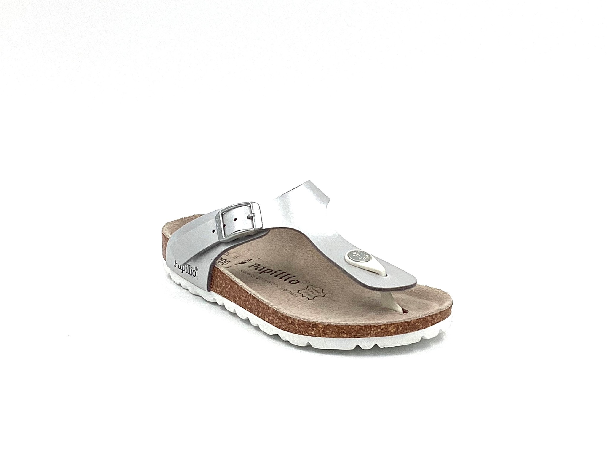 slipper papilio zilver