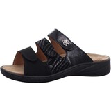 Solidus slipper Solidus slipper