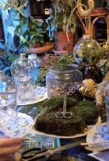 Workshop kerstbalterrarium