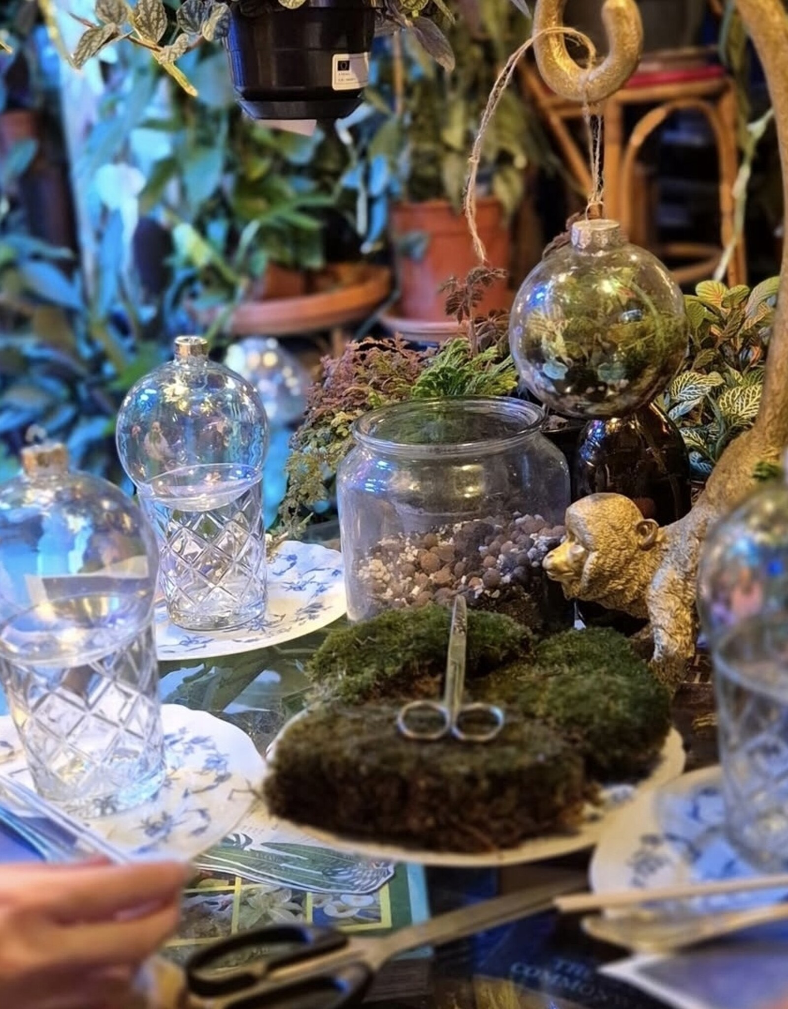 Workshop kerstbalterrarium