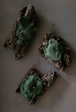 Workshop Platycerium monteren 1