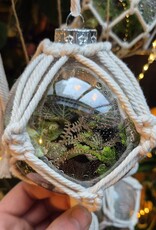 Workshop kerstbalterrarium
