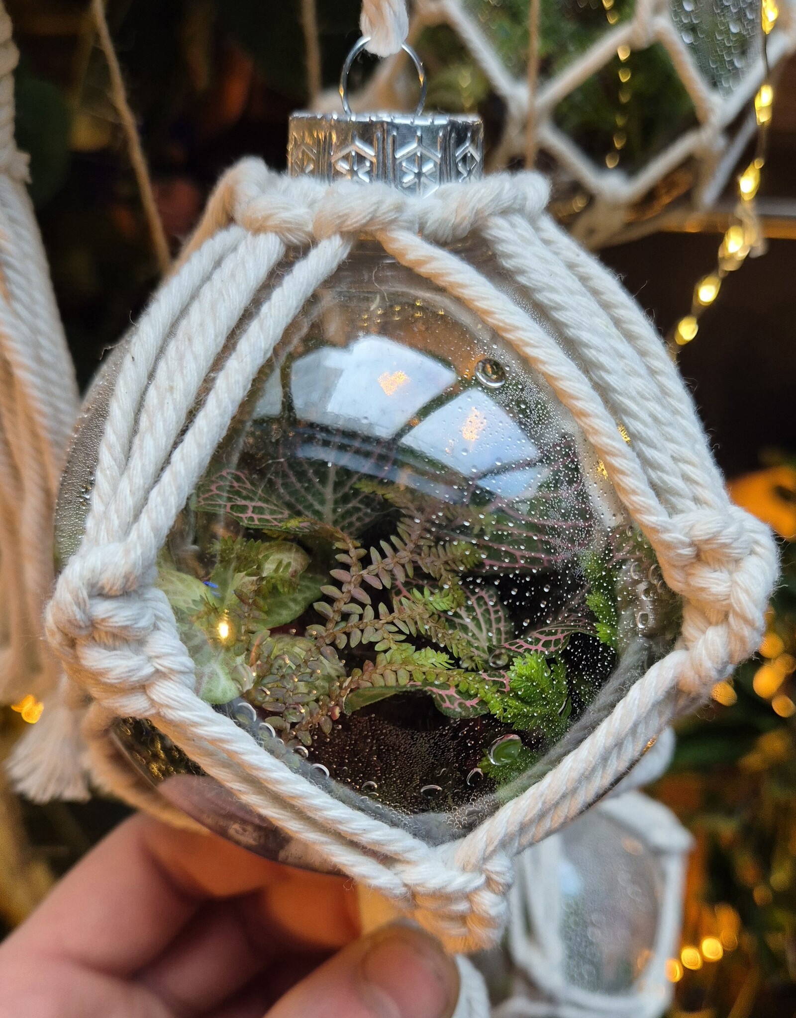 Workshop kerstbalterrarium