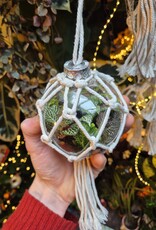 Workshop kerstbalterrarium