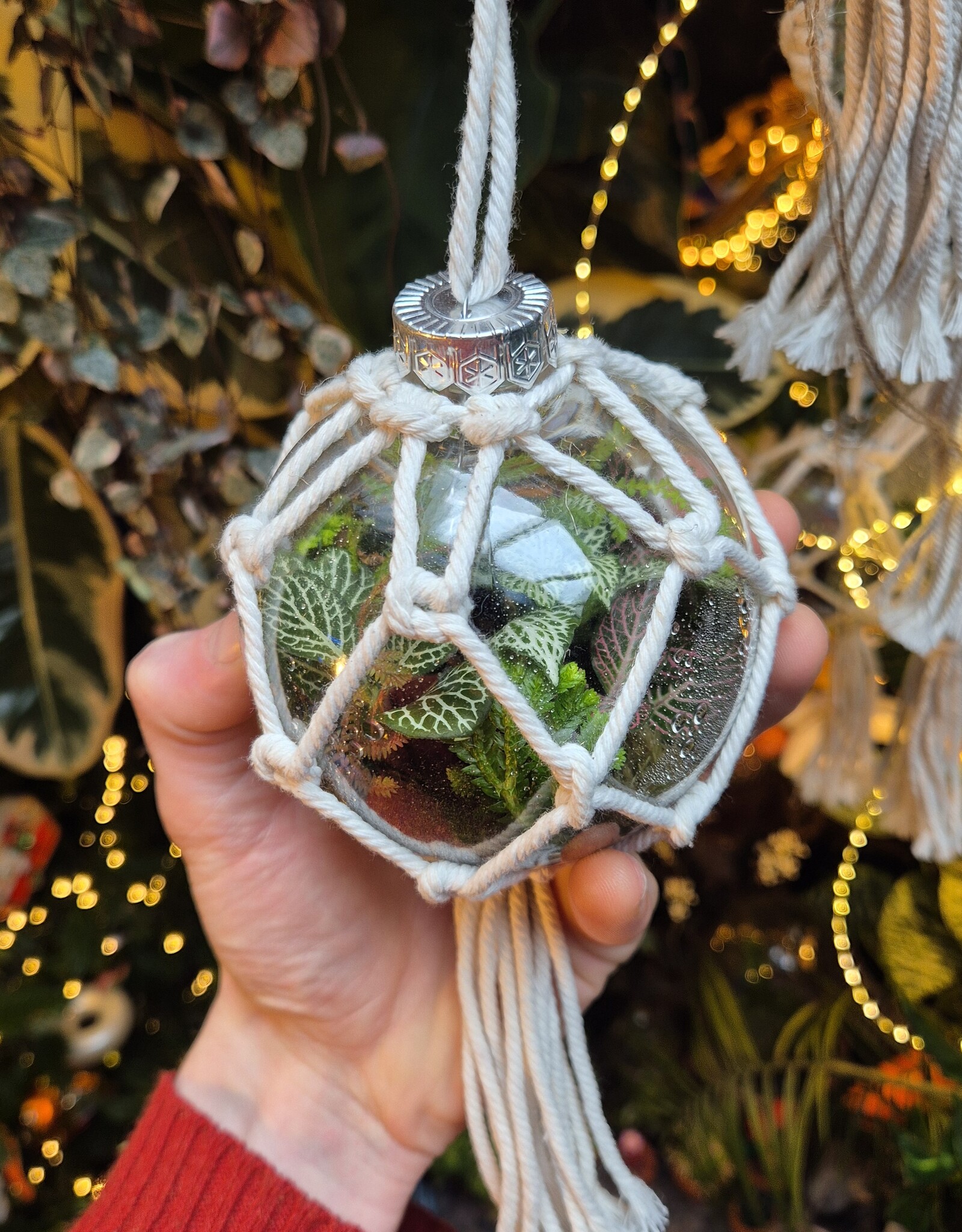 Workshop kerstbalterrarium