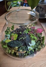 Workshop terrarium 1