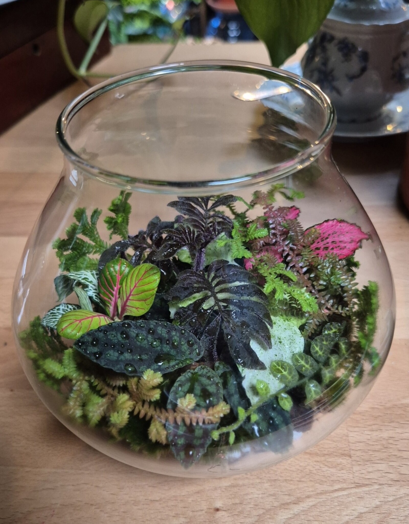 Workshop terrarium 1