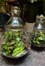 Workshop terrarium 1