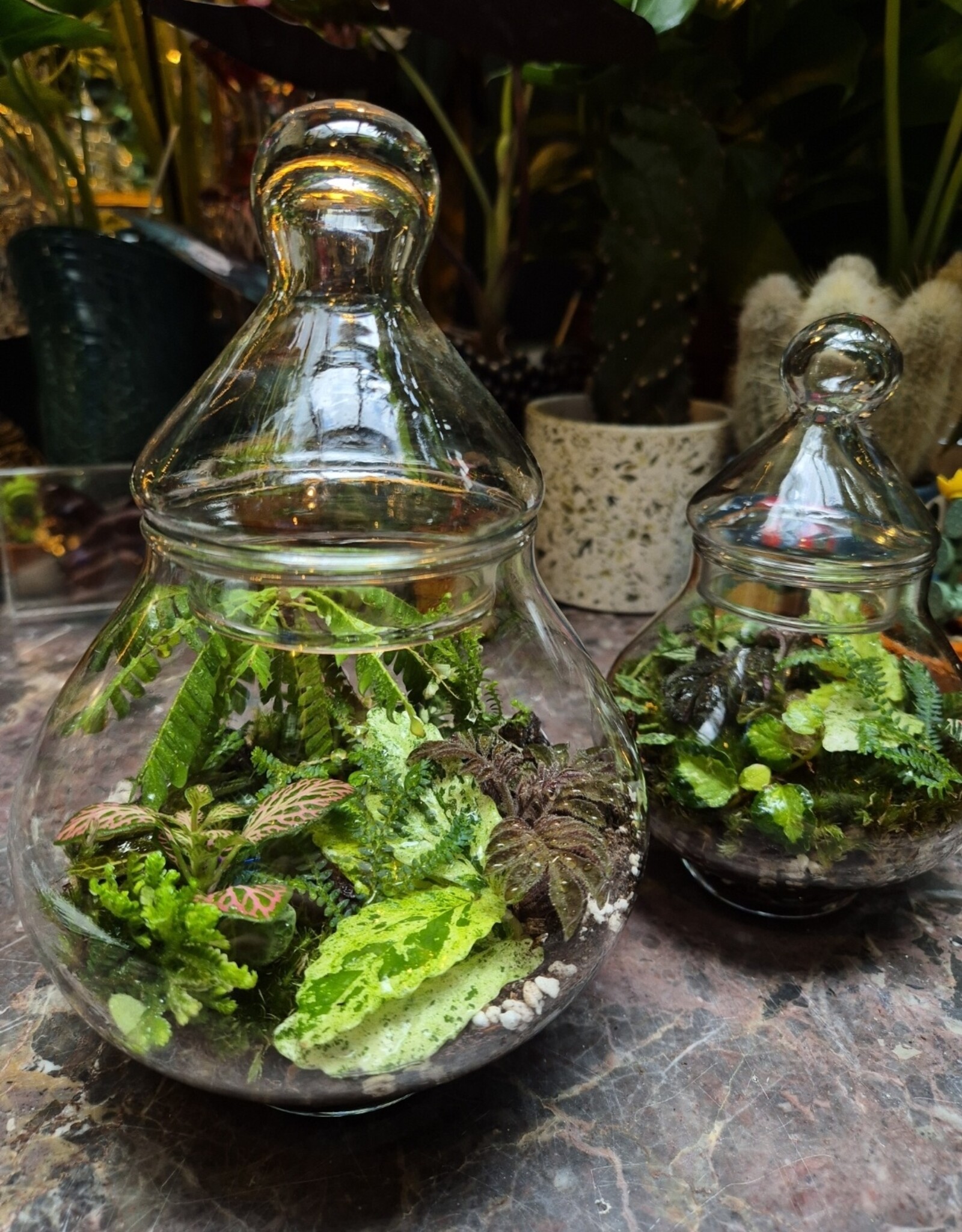 Workshop terrarium 1