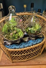 Workshop terrarium 1