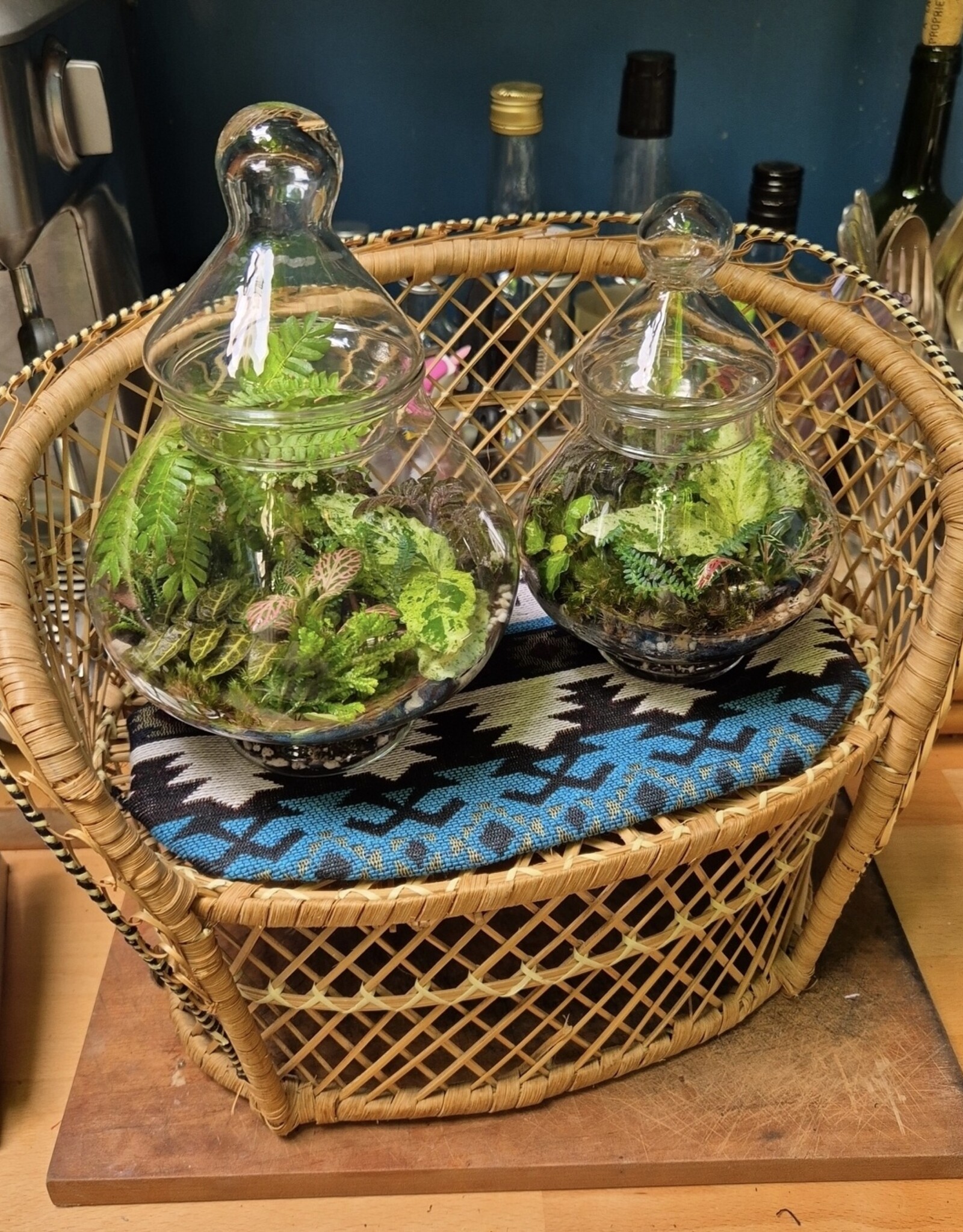 Workshop terrarium 1