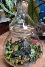 Workshop terrarium 1