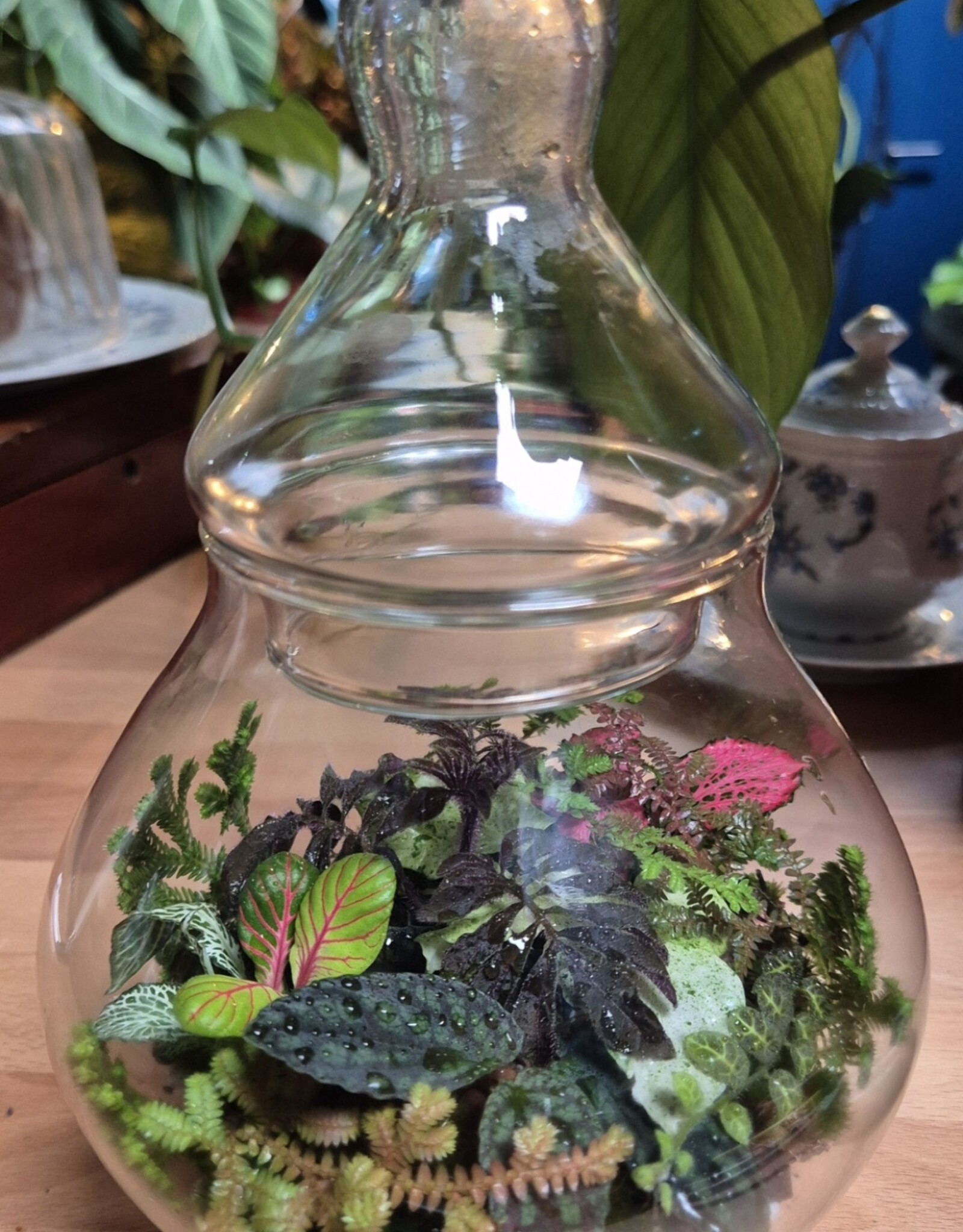 Workshop terrarium 1