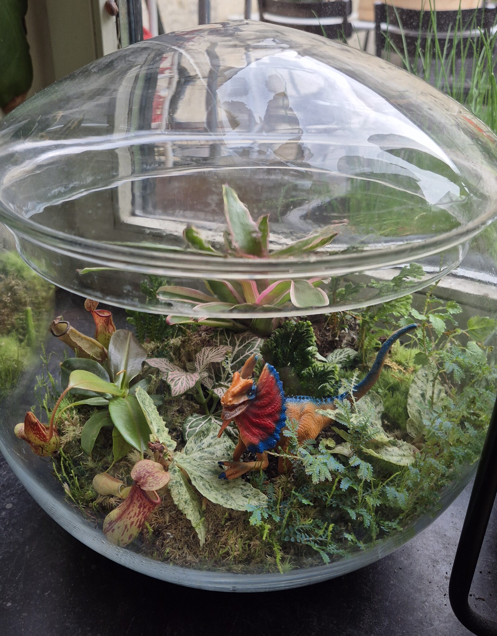 Workshop Groot Terrarium