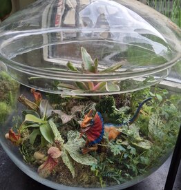 Workshop Groot Terrarium