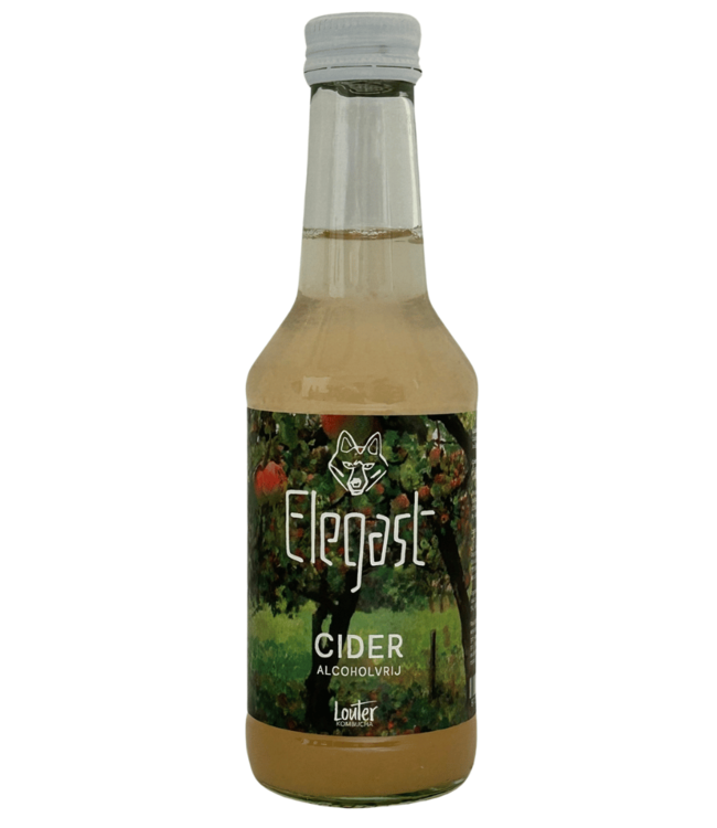 Elegast Elegast Cider 0,5% 250ml