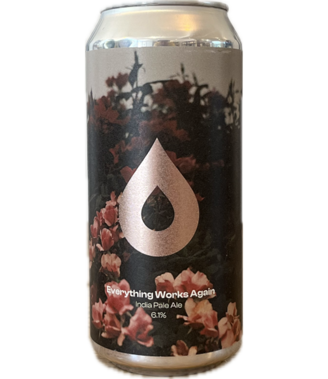 Polly's Brew Co Everything Works  Again 440ml