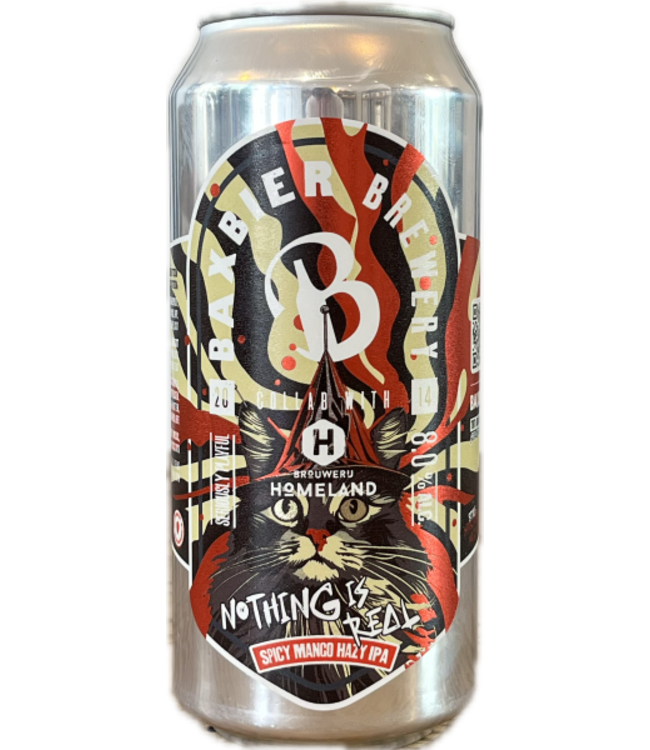 Brouwerij Homeland Baxbier x Homeland Nothing Is Real 440ml