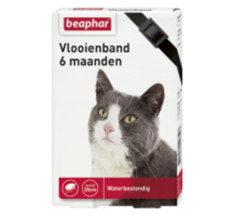 Beaphar vlooienband 6 maanden kat zwart