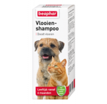 Beaphar Beaphar vlooienshampoo hond&kat knockdown 100 ml