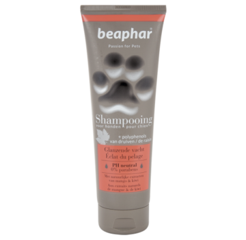 Beaphar Beaphar Premium shampoo glanzende vacht 250 ml