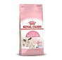 Babycat 34 Kat 2-4 mnd 400 gr