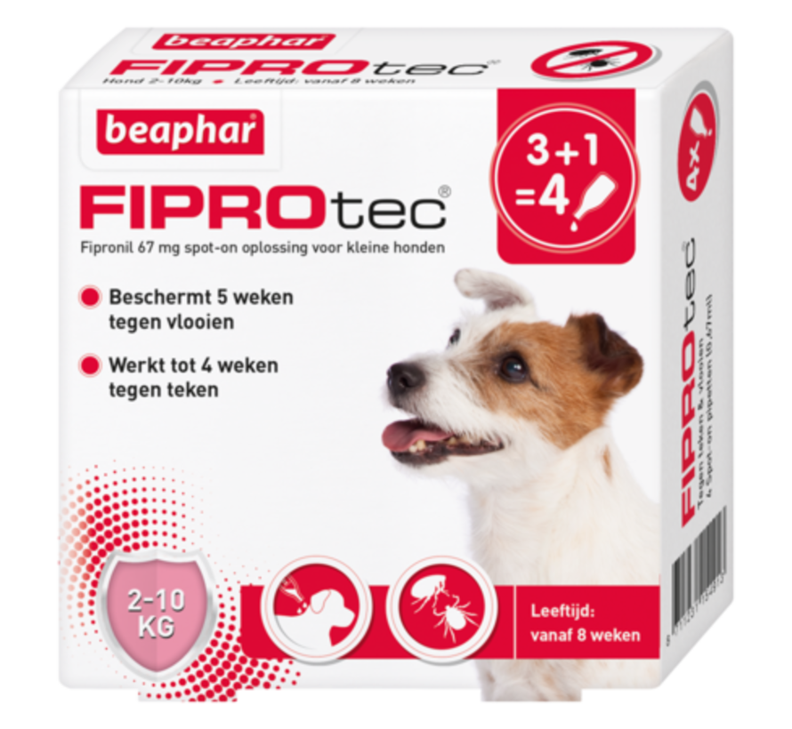 Beaphar Fiprotec hond 2-10 kg 4 pip