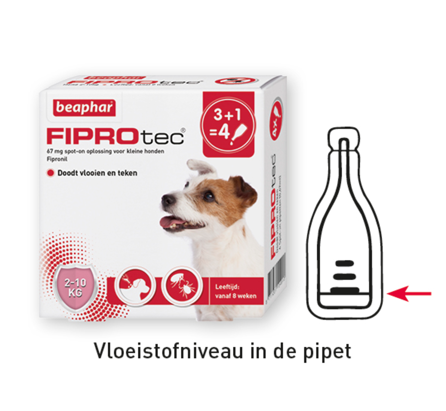 Beaphar Fiprotec hond 2-10 kg 4 pip