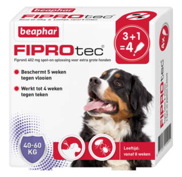 Beaphar Beaphar fiprotec hond 40-60 kg 4 pip