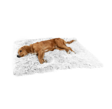 Outward Hound Blanket Shag wit