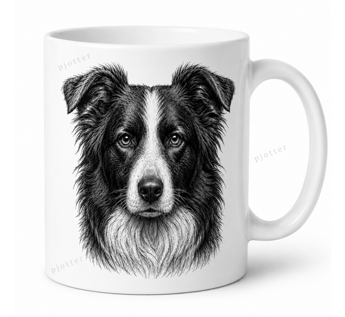 Bordercollie mok