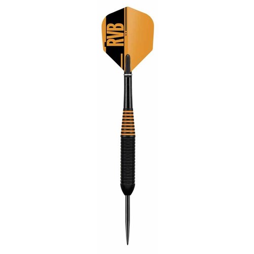 Target darts Target darts Raymond van Barneveld black brass 22 gram