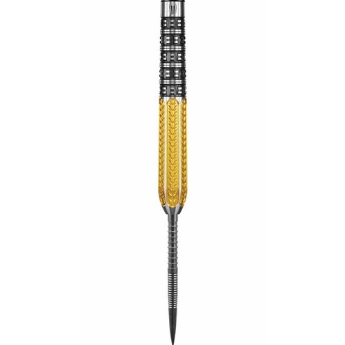 Target darts Raymond van Barneveld GEN2 - RVB95 21 gram