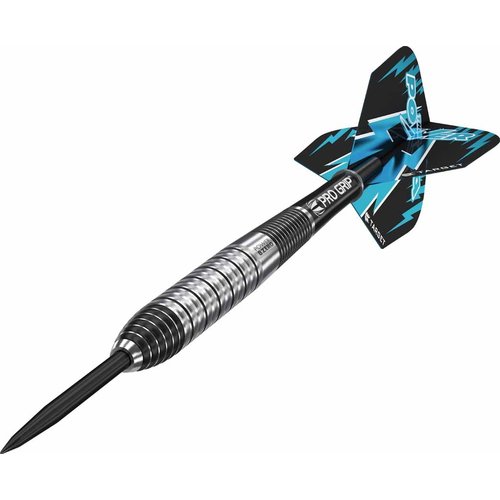 Target darts Phil Taylor Power 8ZERO 2 titanium