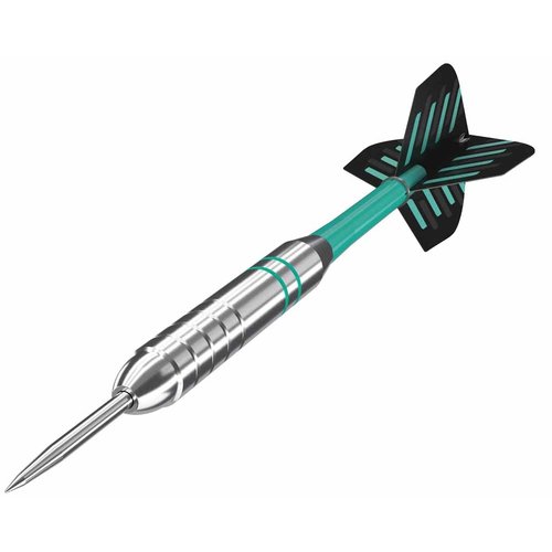 Target darts Rob Cross Silver Voltage 24 gram Dartpijlen