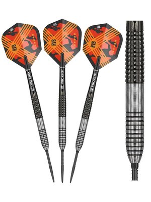 Raymond van Barneveld Gen3 Swiss Point Darts